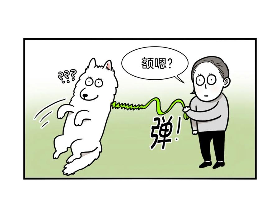 《我的狗子叫棉花》第4话 训练狗狗大作战！ 第71页