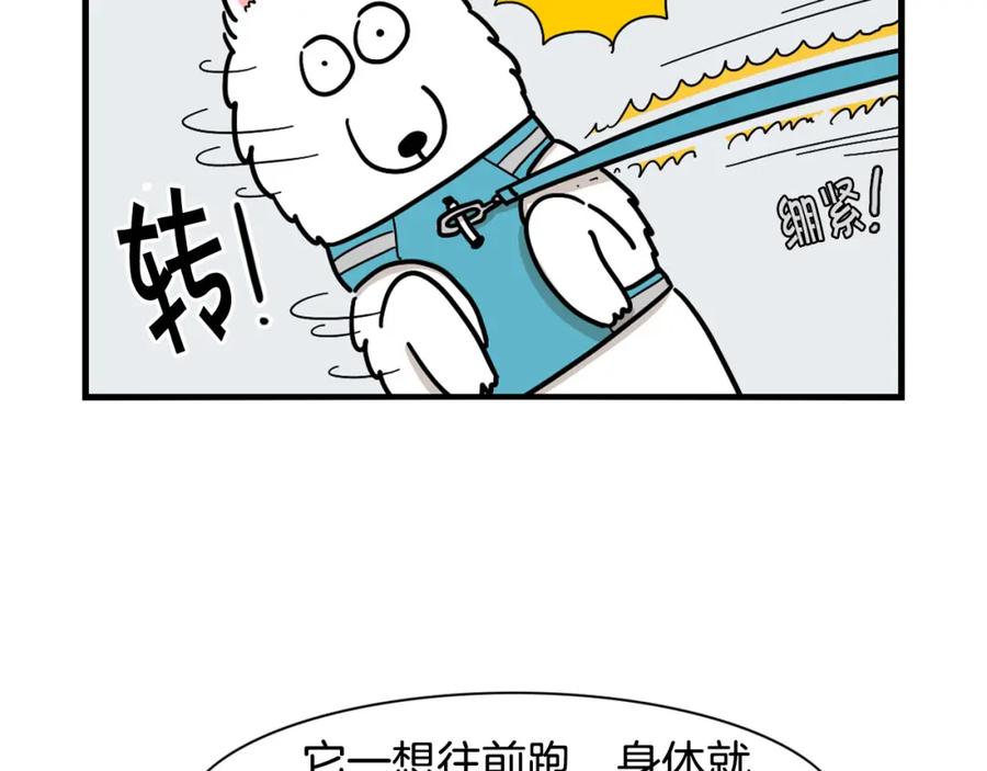 《我的狗子叫棉花》第4话 训练狗狗大作战！ 第60页