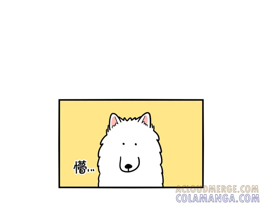 《我的狗子叫棉花》第4话 训练狗狗大作战！ 第19页