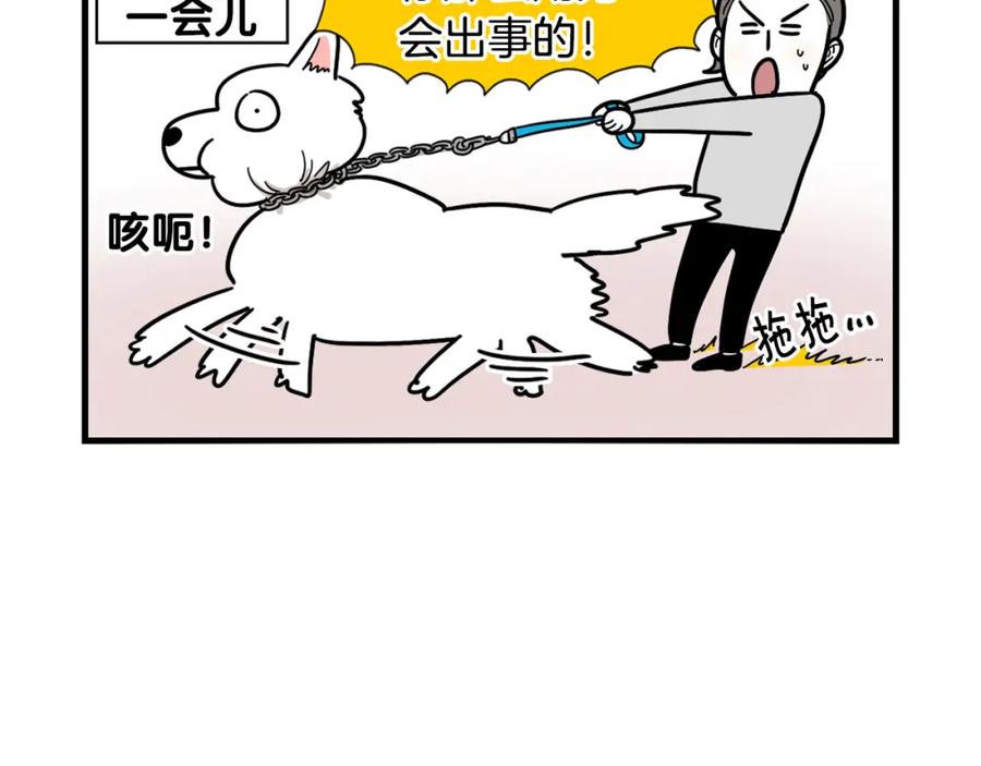 《我的狗子叫棉花》第4话 训练狗狗大作战！ 第47页