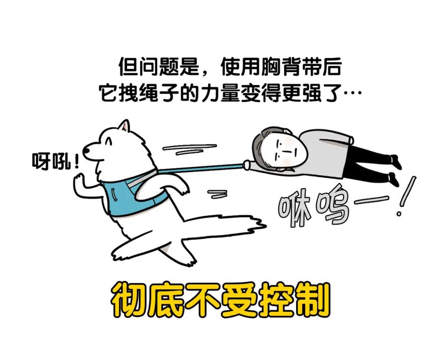 《我的狗子叫棉花》第4话 训练狗狗大作战！ 第56页