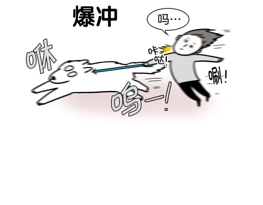 《我的狗子叫棉花》第4话 训练狗狗大作战！ 第9页