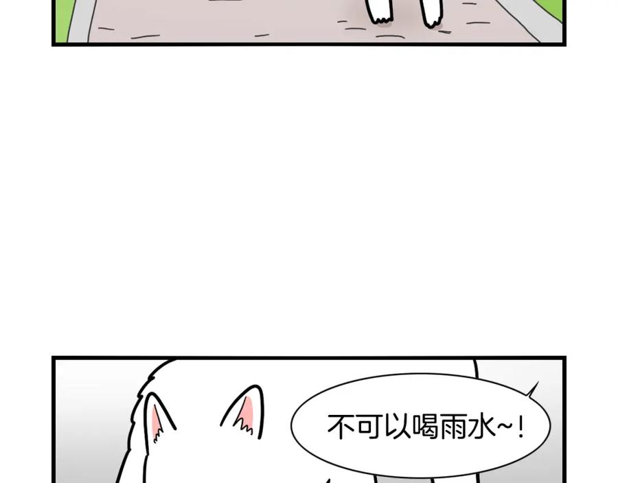 《我的狗子叫棉花》第5话 乱吃东西的狗子 第27页