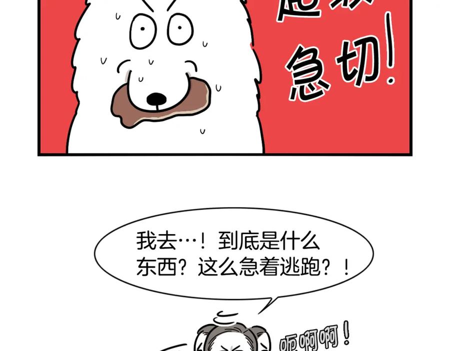 《我的狗子叫棉花》第5话 乱吃东西的狗子 第47页