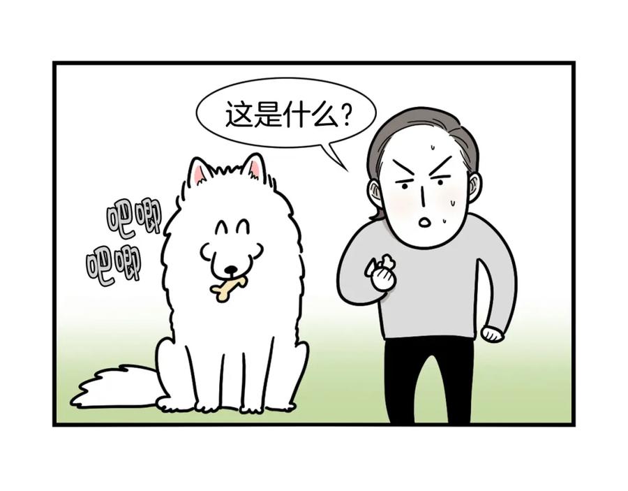 《我的狗子叫棉花》第5话 乱吃东西的狗子 第16页