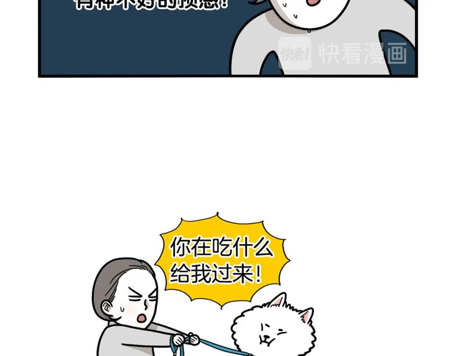 《我的狗子叫棉花》第5话 乱吃东西的狗子 第40页