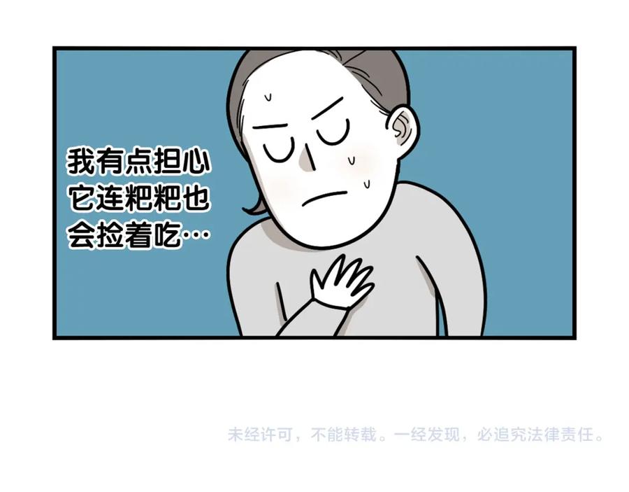 《我的狗子叫棉花》第5话 乱吃东西的狗子 第87页