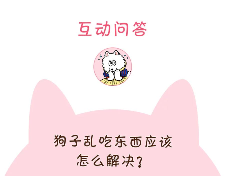 《我的狗子叫棉花》第5话 乱吃东西的狗子 第96页