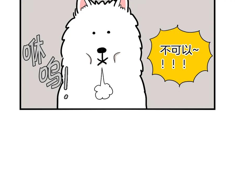 《我的狗子叫棉花》第5话 乱吃东西的狗子 第60页