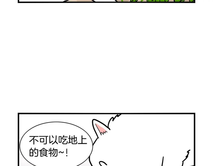《我的狗子叫棉花》第5话 乱吃东西的狗子 第30页