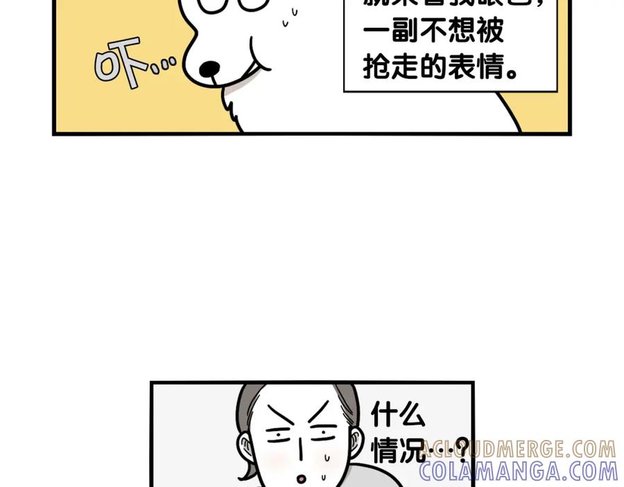 《我的狗子叫棉花》第5话 乱吃东西的狗子 第37页