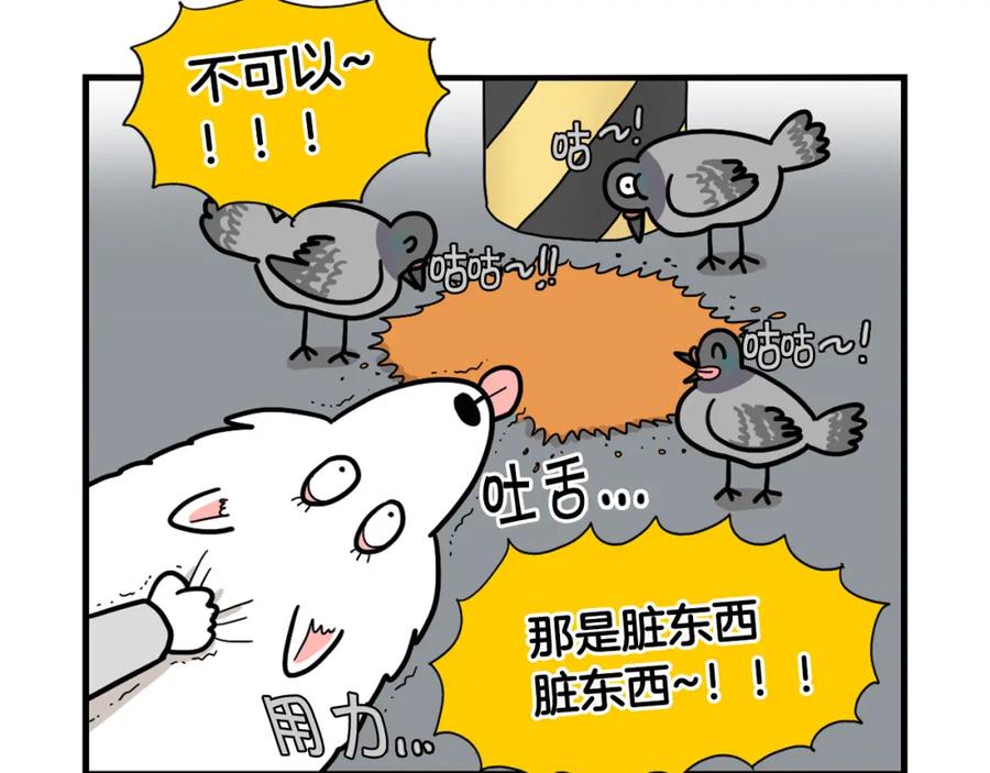 《我的狗子叫棉花》第5话 乱吃东西的狗子 第32页