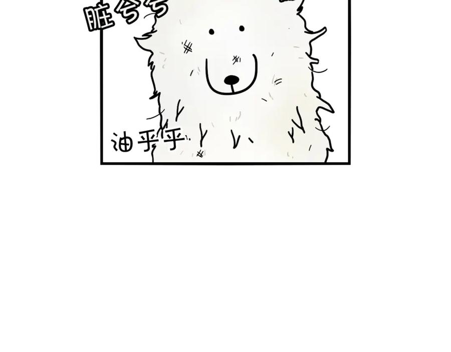《我的狗子叫棉花》第6话 洗澡澡 第10页