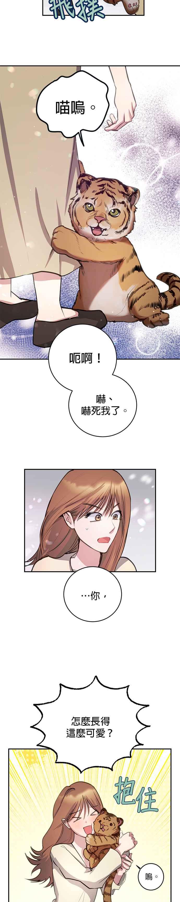 《我的虎小子》外传1 第4页