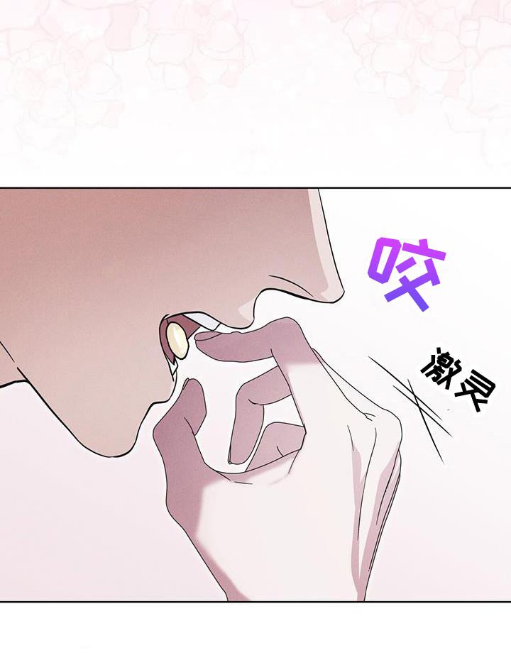 《彩虹城》第105章：【第二季】精神病毒 第14页