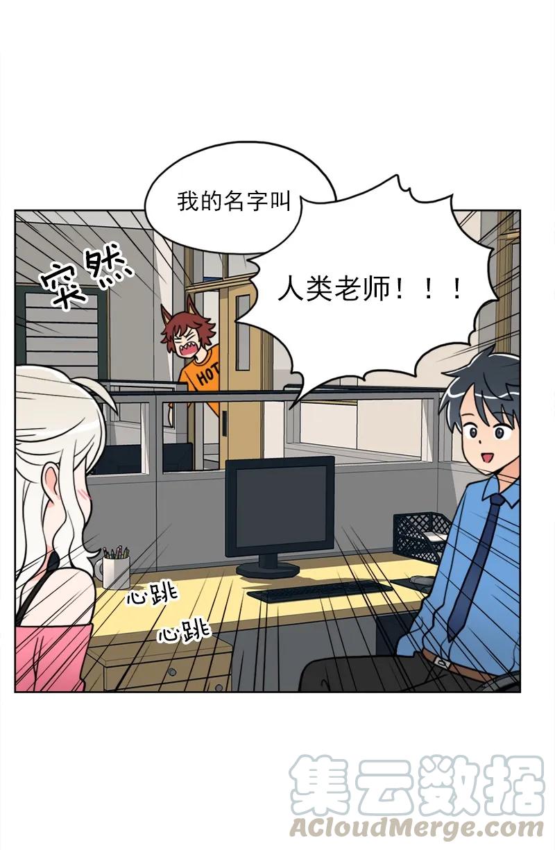《我的老师居然是人类》14 第14话 第29页