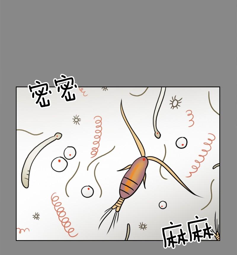 《我的老师居然是人类》82 第82话 第19页
