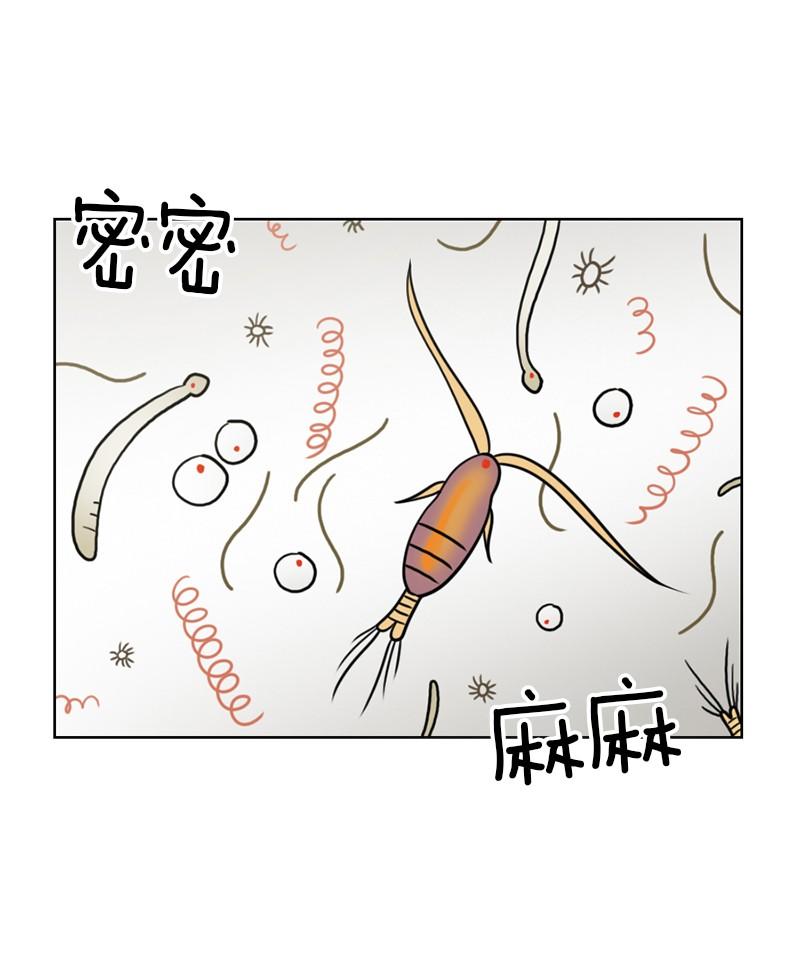 《我的老师居然是人类》91 第91话 第36页