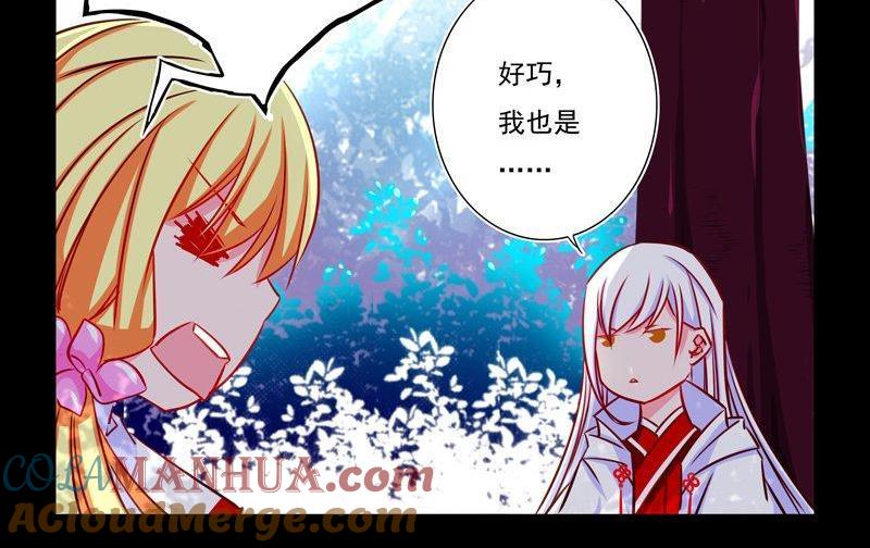 《我的冷血男神》正文 1 我喜欢的人 第6页
