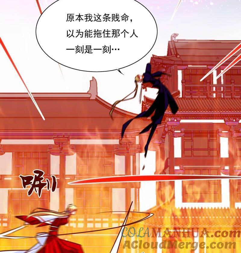 《我的冷血男神》正文 16 暗杀还是诱杀？ 第5页