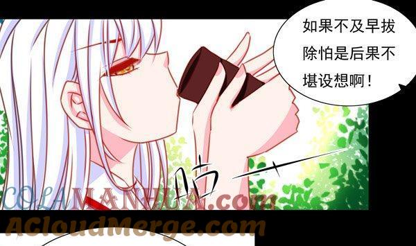 《我的冷血男神》正文 25 意料之内的意外 第13页