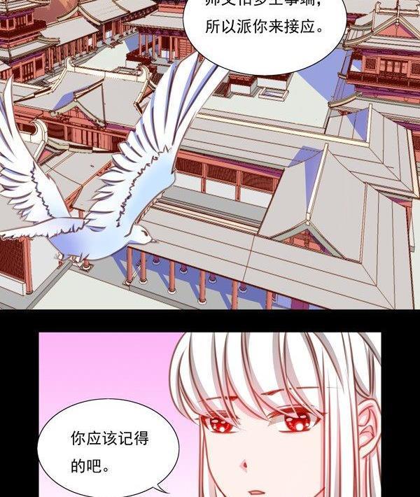 《我的冷血男神》正文 30 扎心了我的师弟 第4页