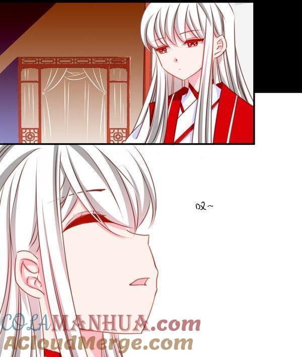 《我的冷血男神》正文 42 不能说的往昔 第41页