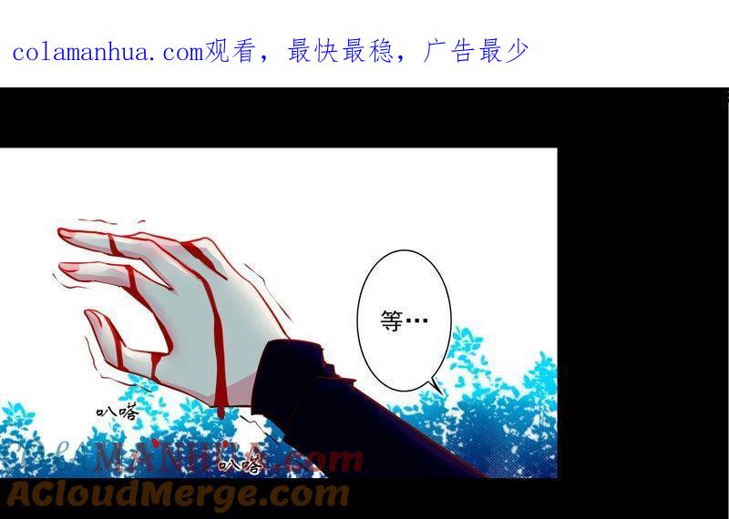 《我的冷血男神》正文 5 斩草要除根 第1页
