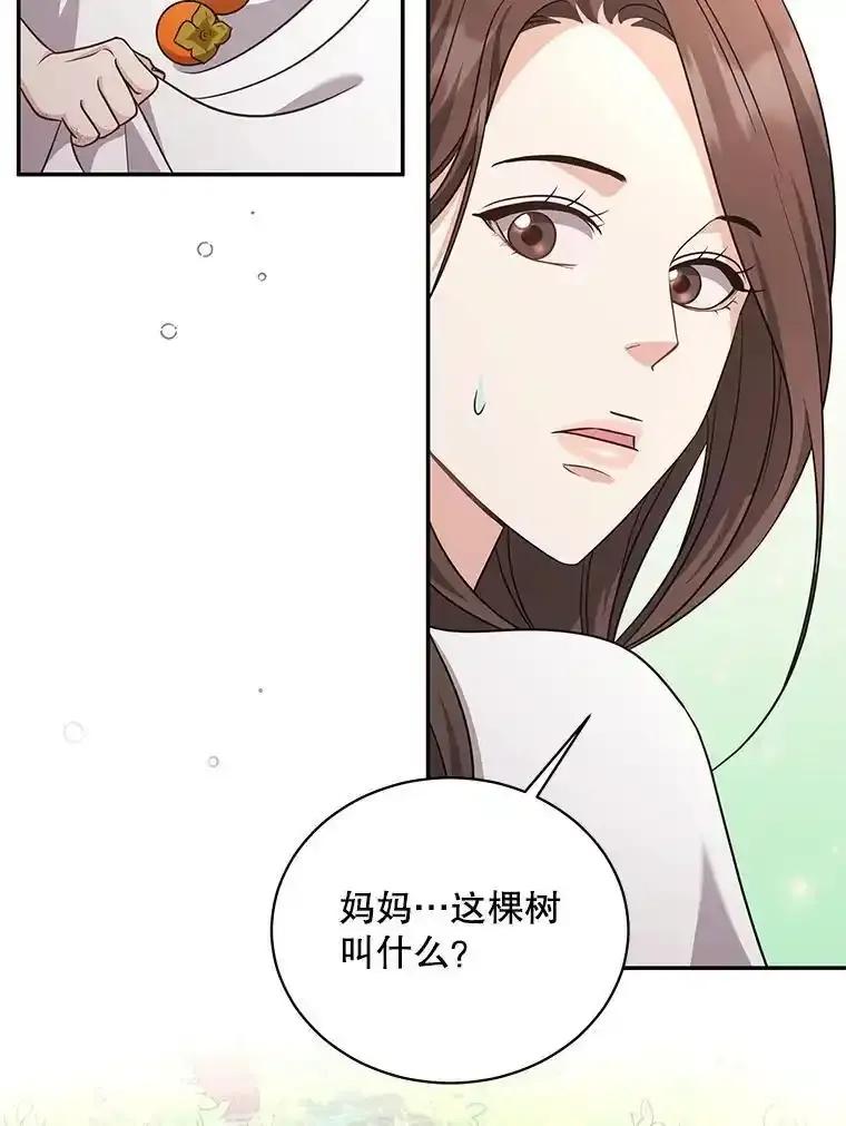 《爱的契约》69.妈妈的礼物 第66页