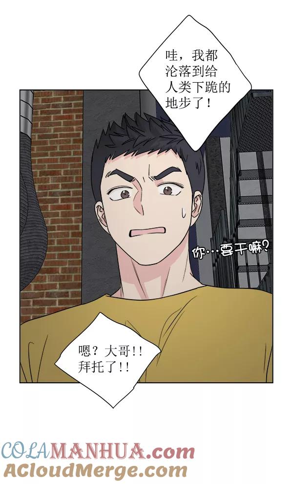 我的妈妈是校花 第19话 第55页