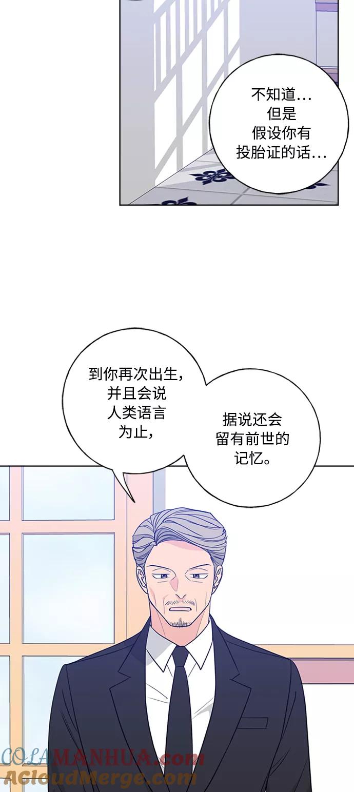 我的妈妈是校花 第98话 第60页