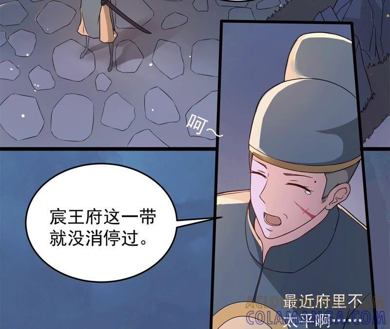 《我的男宠要翻墙》祸起萧墙 第10页