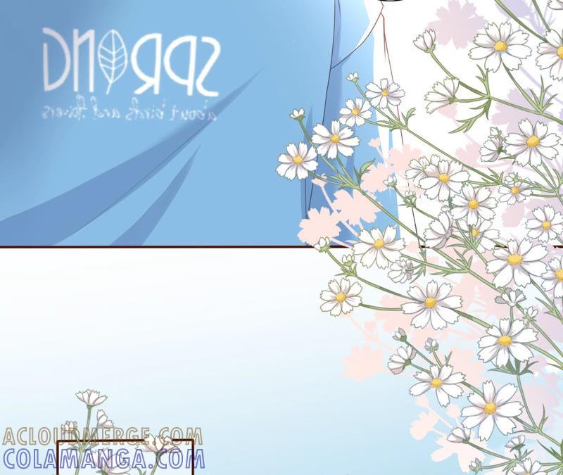 《女票芳龄30十》评价甜品 第28页