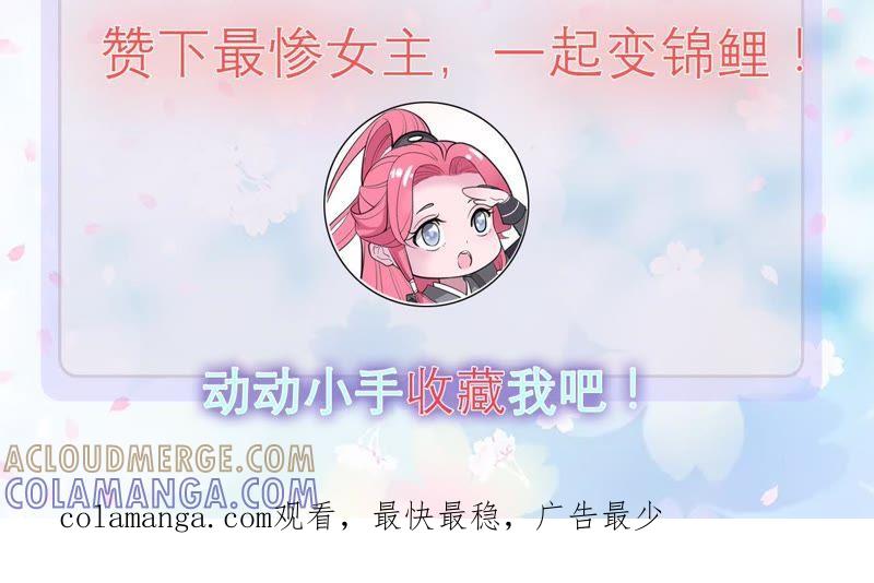 《我的男宠要翻墙》人死灯灭 第70页