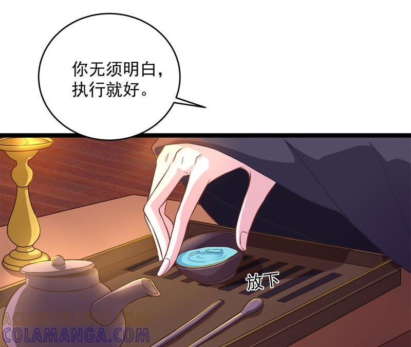 《我的男宠要翻墙》一死再死 第43页