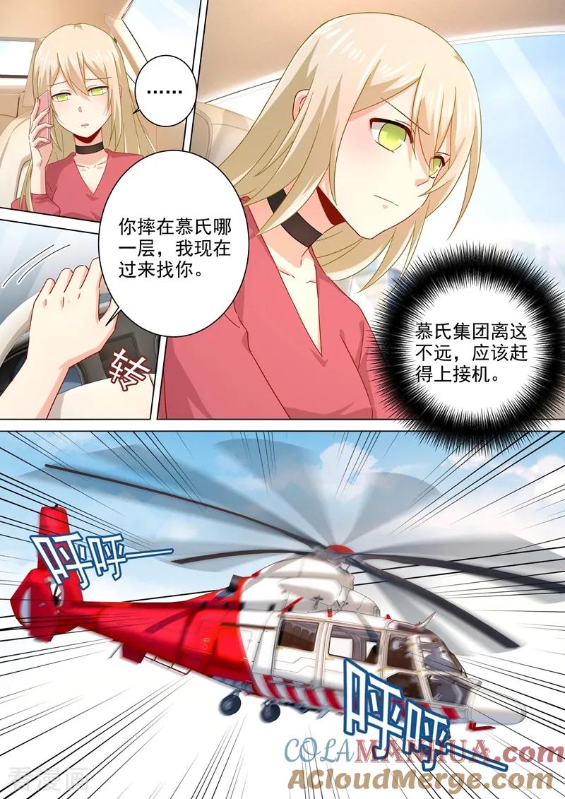8.jpg