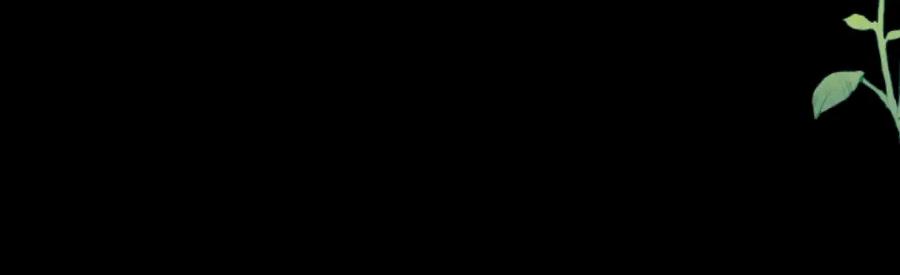 《我的oc成精了》第八话 抱抱 第58页