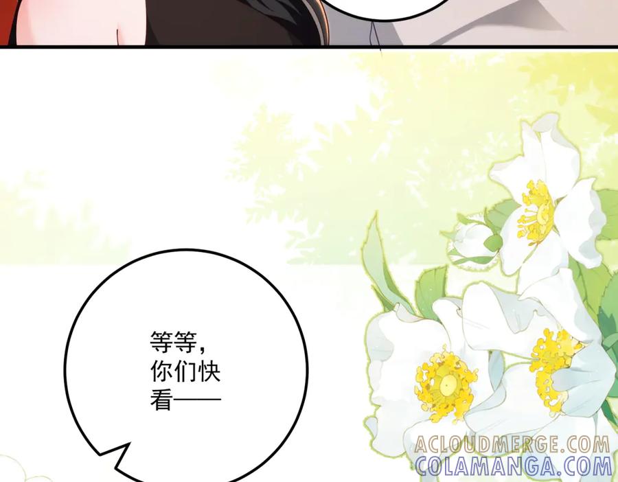 《我的三个大佬哥哥》第32话 新的阴谋 第9页