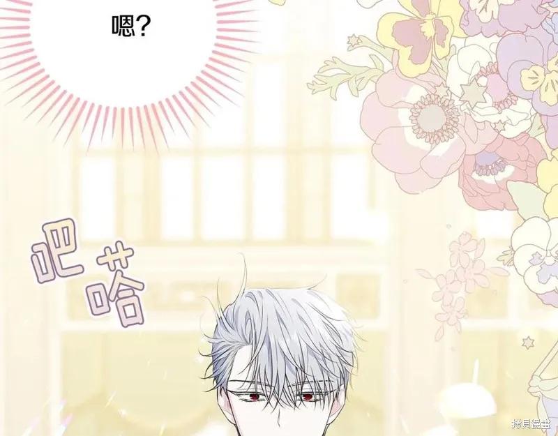 《明明是冷美人小姐却变成了忠犬大少爷》第77话 第23页