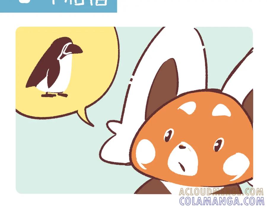 《胖达x胖达》第270话 第13页