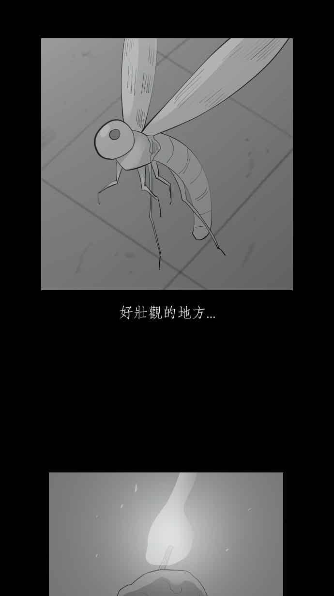 黑盒子 [357话] 奇蹟亭(4) 第28页