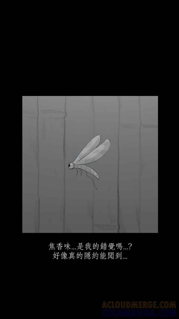 黑盒子 [357话] 奇蹟亭(4) 第25页