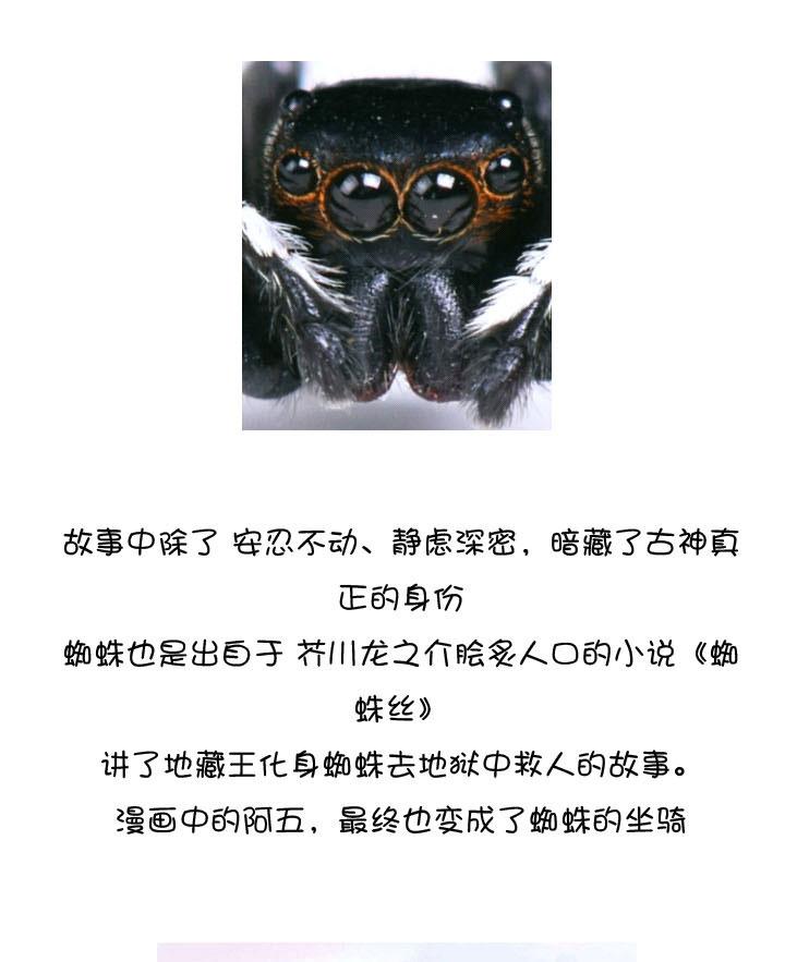 《祖先帮帮忙》后记 第60页