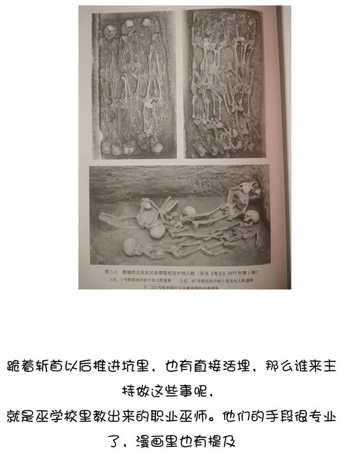 《祖先帮帮忙》后记 第72页