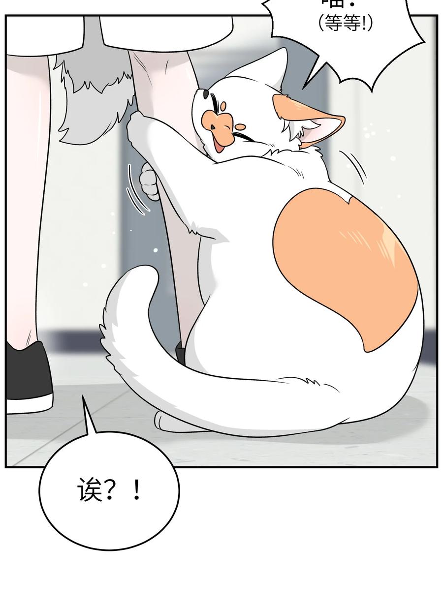 我的食物看起来很可爱 145 坏人！变态！大白痴！（含抽奖） 第26页