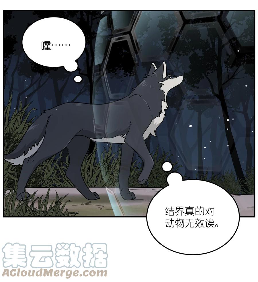 我的食物看起来很可爱 特别篇 猎人与狼：高赏金的委托 第13页