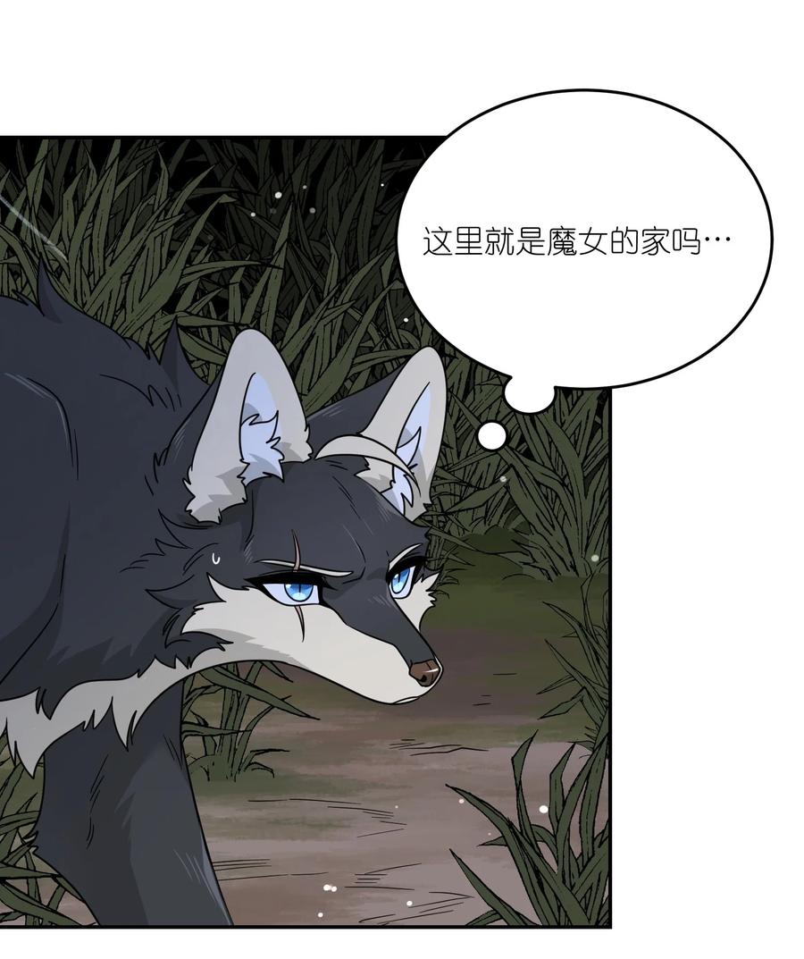 我的食物看起来很可爱 特别篇 猎人与狼：高赏金的委托 第12页