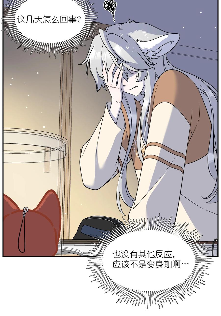 我的食物看起来很可爱 132 测试ing 第11页