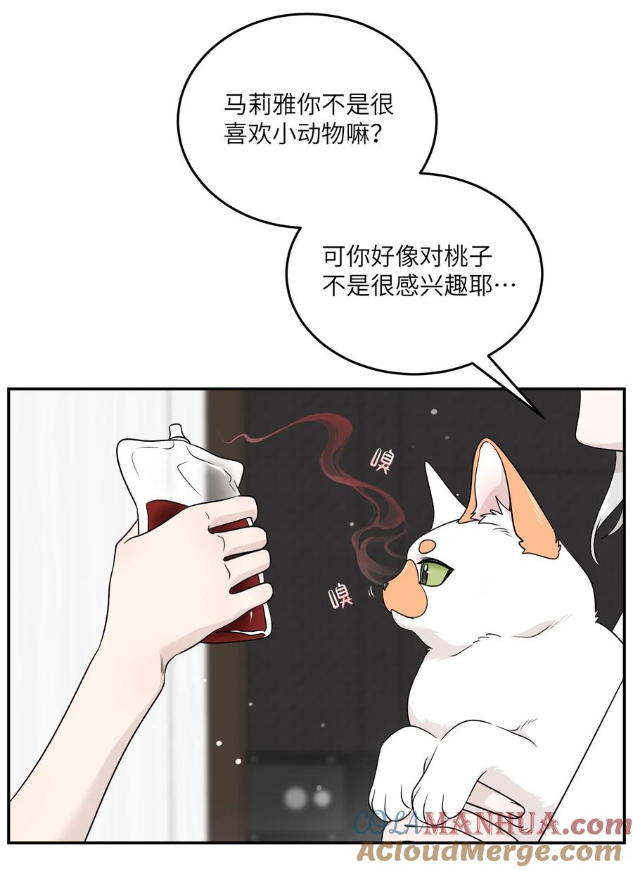 我的食物看起来很可爱 146 朋友……（含联动抽奖） 第19页