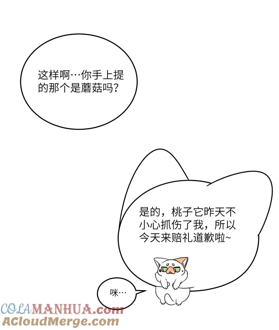 我的食物看起来很可爱 146 朋友……（含联动抽奖） 第16页